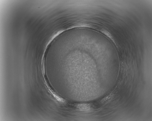 X0000058131127200510071958