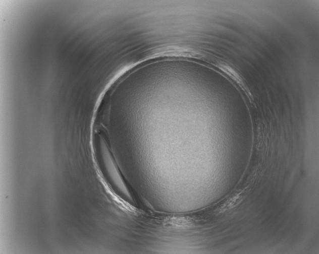 X0000058131128200510071958