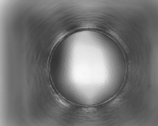 X0000058131129200510071958