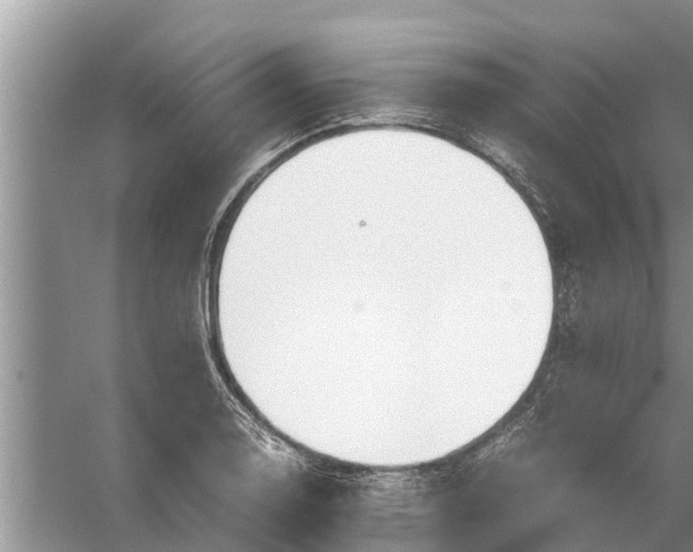 X0000058131130200510071958