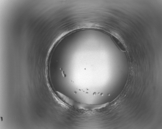 X0000058131136200510071958