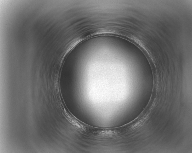 X0000058131137200510071958