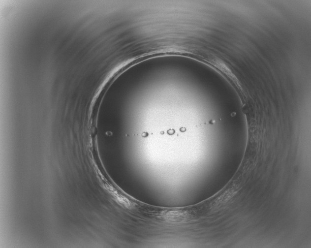 X0000058131140200510071958