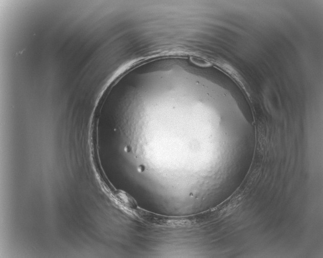 X0000058131142200510071958