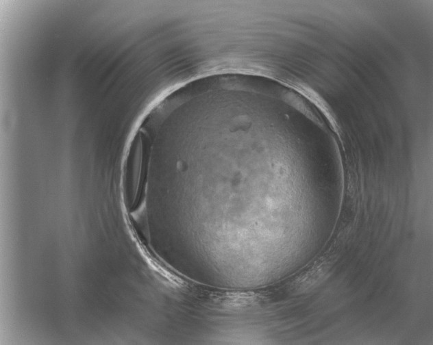 X0000058131144200510071958