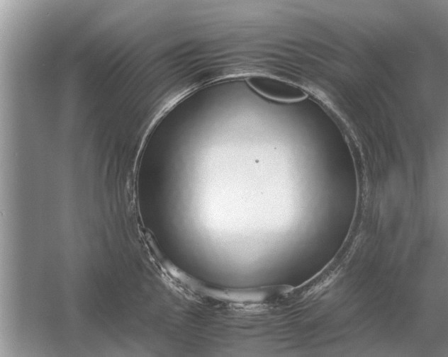 X0000058131145200510071958