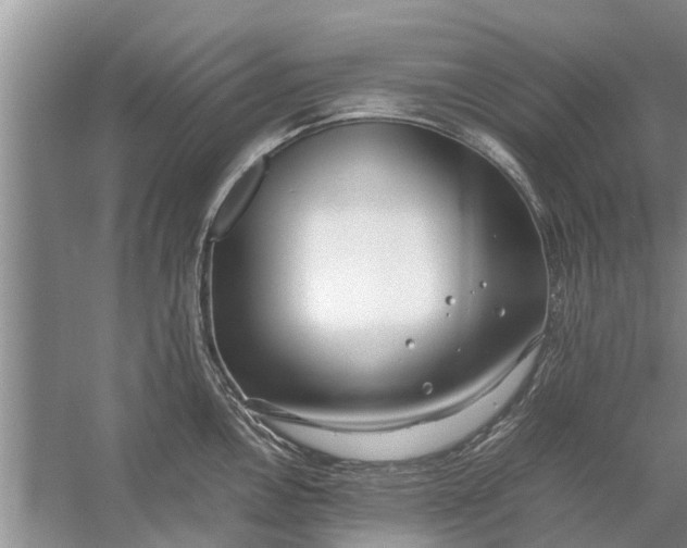 X0000058131146200510071958