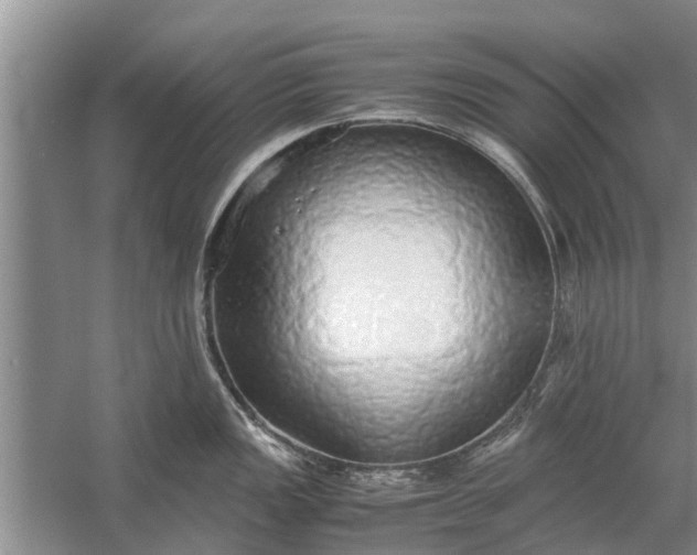 X0000058131149200510071958