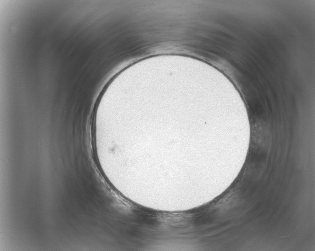 X0000058131150200510071958