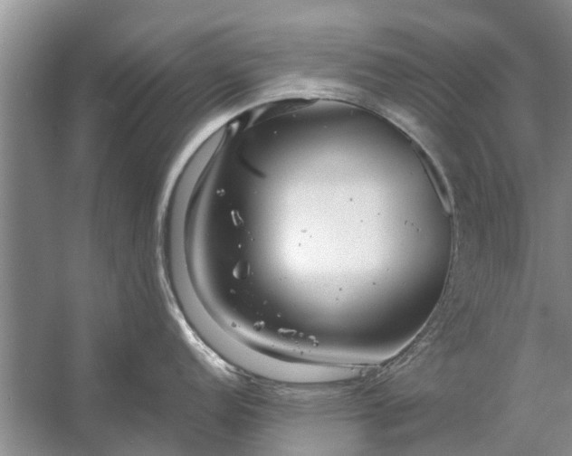 X0000058131152200510071959