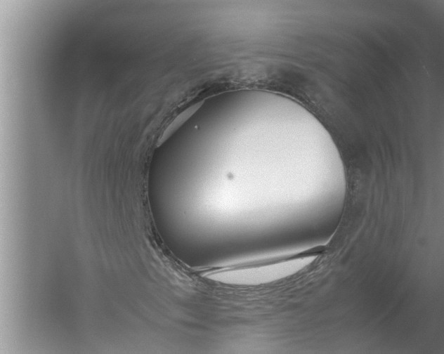 X0000058131153200510071958