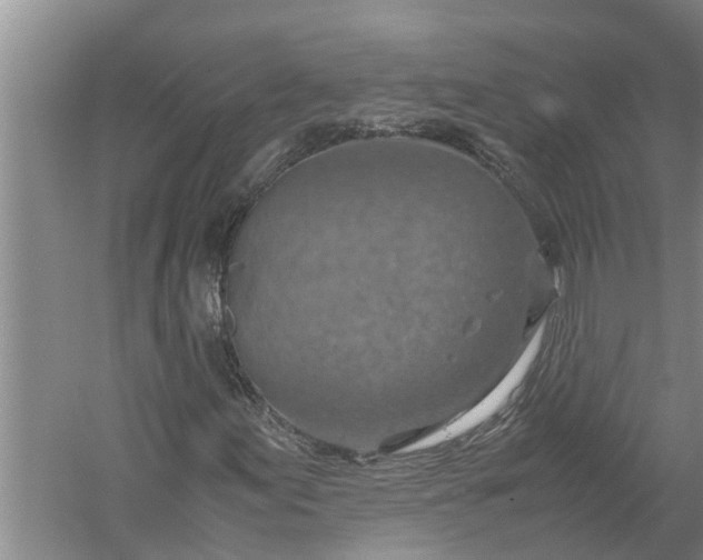 X0000058131155200510071958