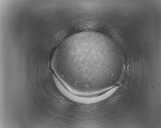 X0000058131156200510071958