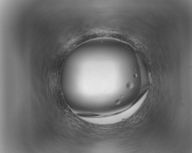 X0000058131157200510071958