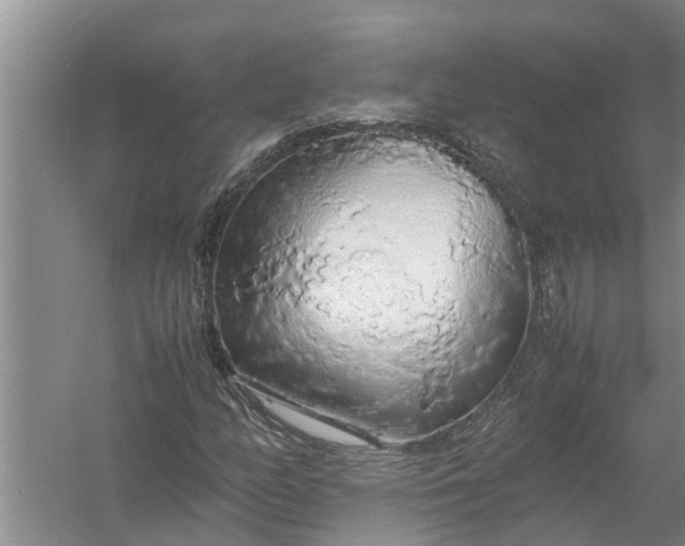 X0000058131158200510071958