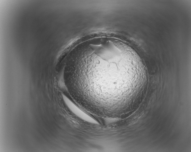 X0000058131159200510071958