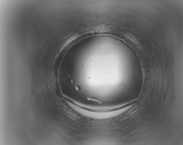 X0000058131160200510071958