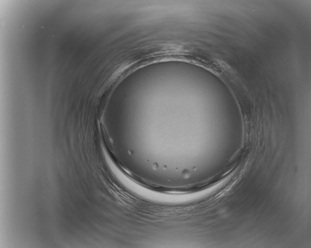 X0000058131161200510071958