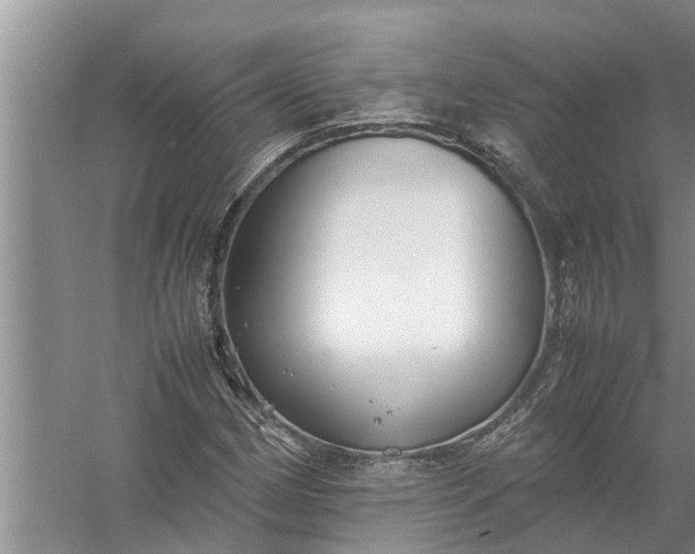 X0000058131162200510071958