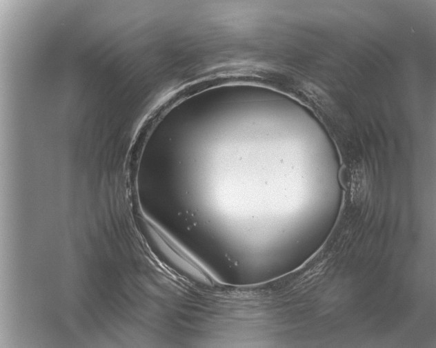 X0000058131164200510071958