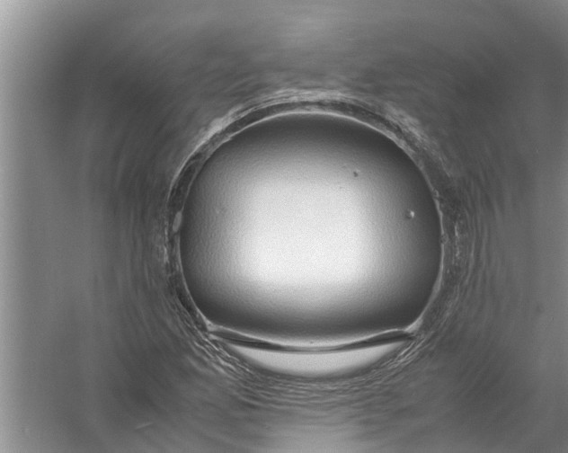 X0000058131165200510071958