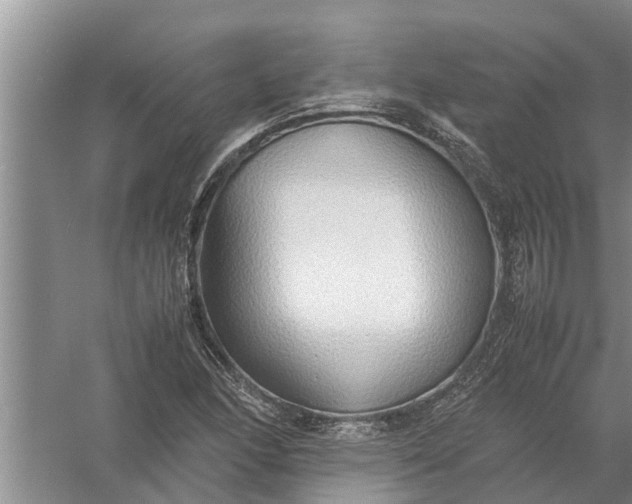 X0000058131166200510071957