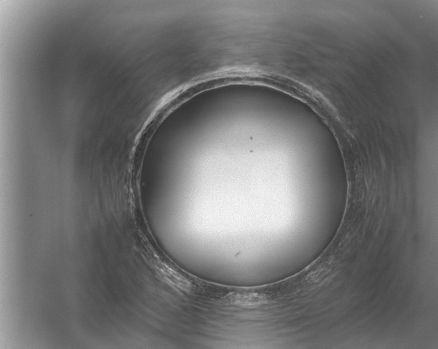 X0000058131168200510071957