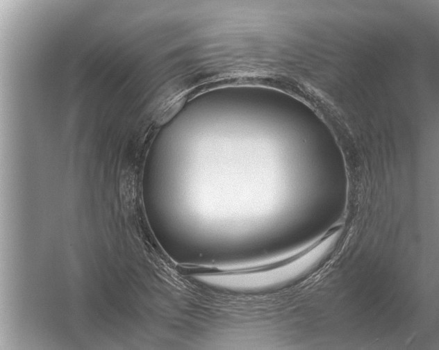 X0000058131169200510071957