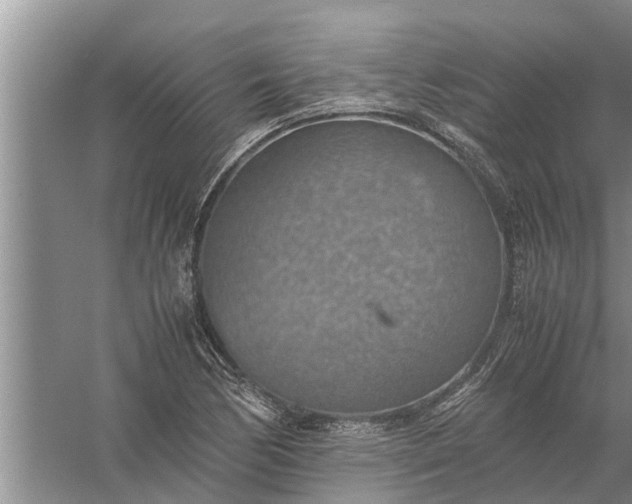 X0000058131170200510071957