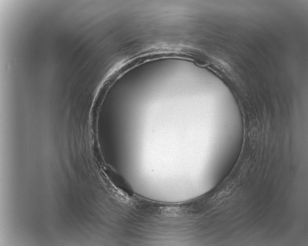 X0000058131172200510071957