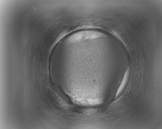 X0000058131173200510071957