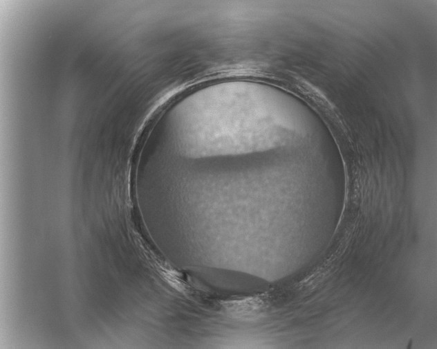 X0000058131174200510071957