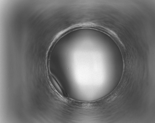 X0000058131176200510071957