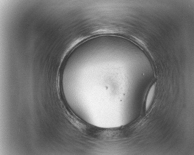 X0000058131179200510071957