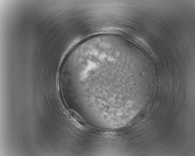 X0000058131180200510071957