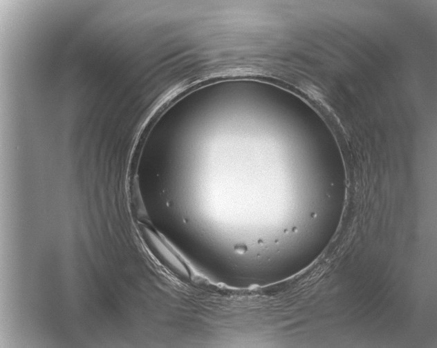 X0000058131181200510071957