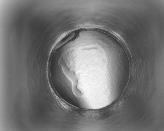 X0000058131183200510071957