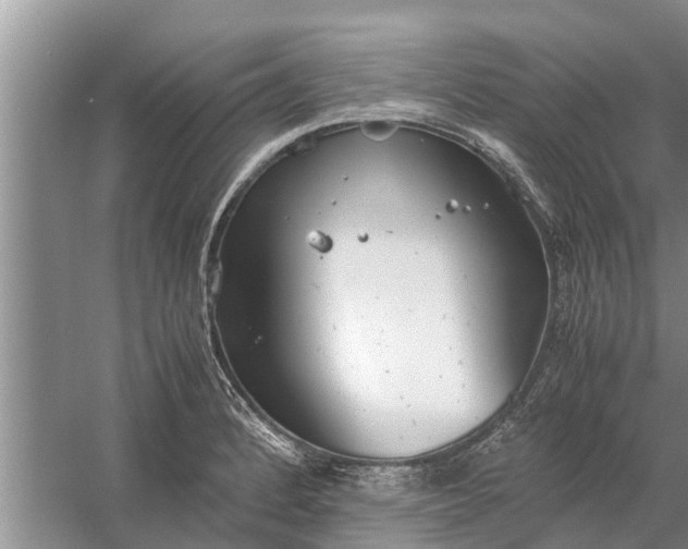 X0000058131184200510071957