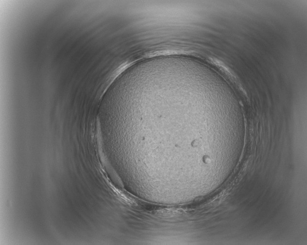 X0000058131185200510071957