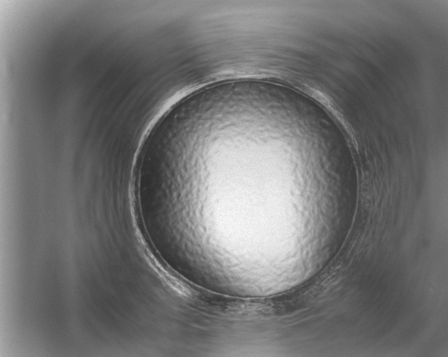 X0000058131187200510071957