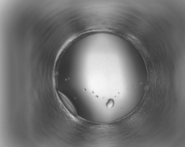 X0000058131188200510071957