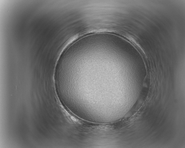 X0000058131189200510071957