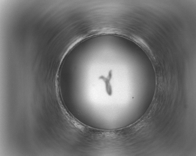 X0000058131190200510071957