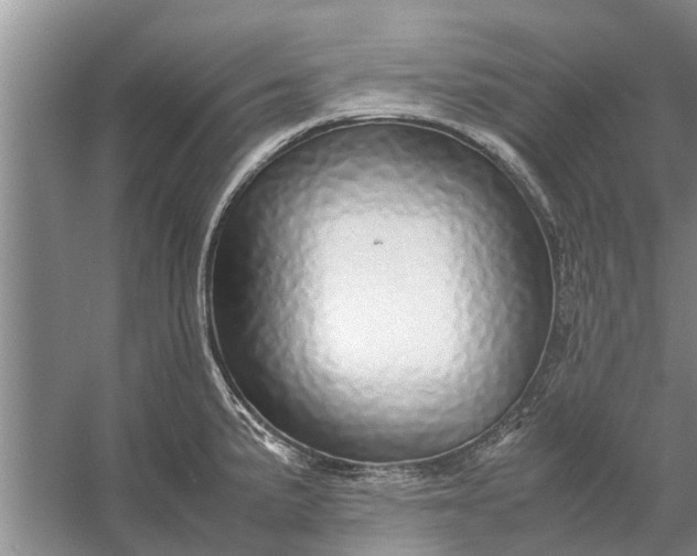 X0000058131191200510071957