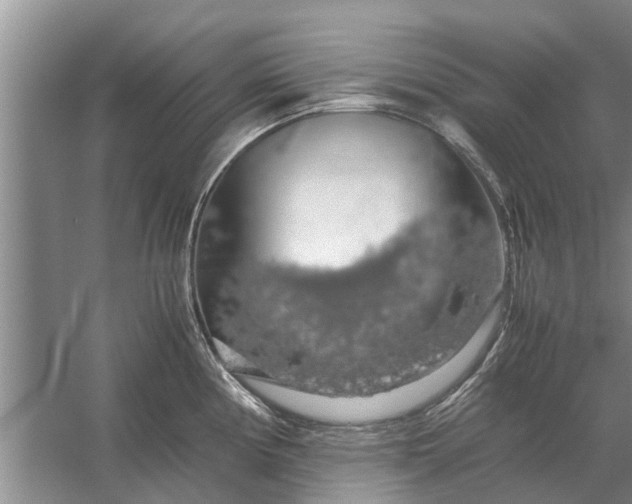 X0000058131194200510071957