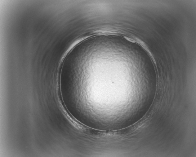 X0000058131195200510071957