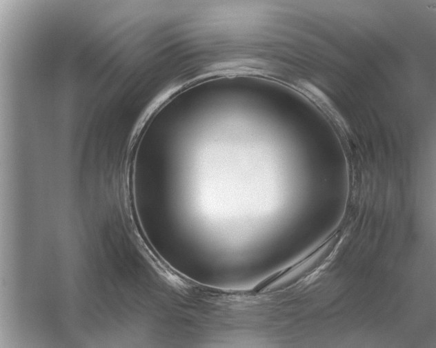 X0000058131196200510071957