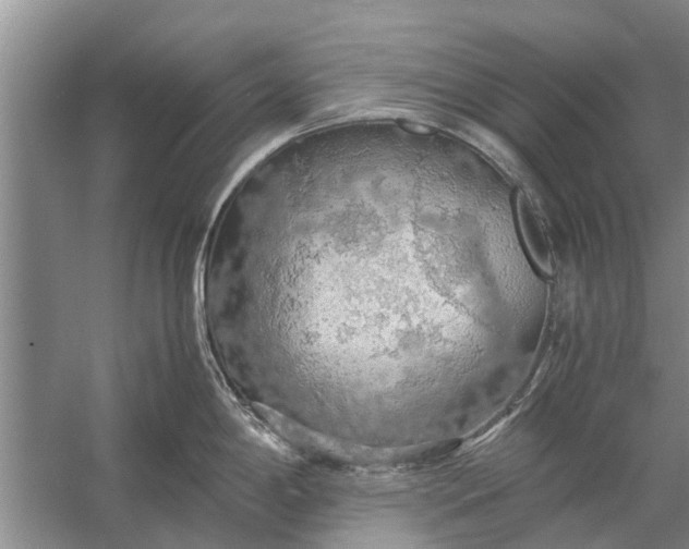 X0000058131198200510071957