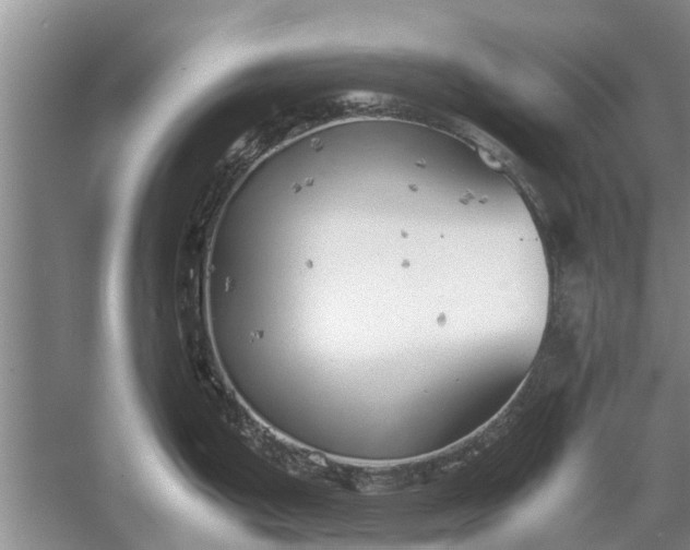 X0000058131199200510071957