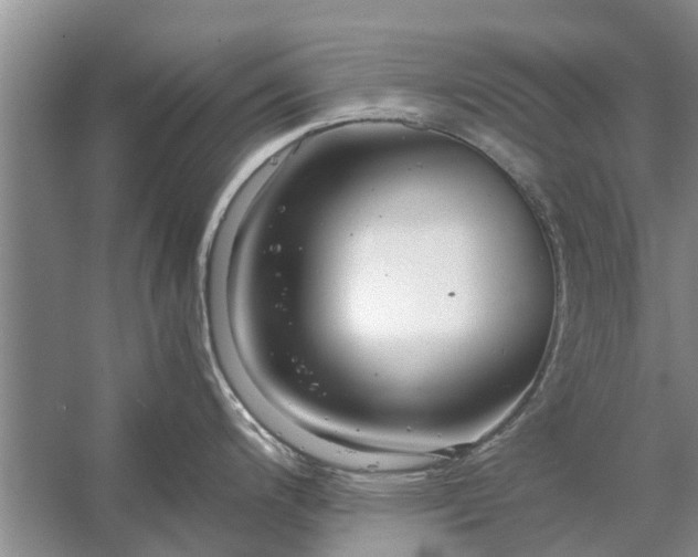 X0000058131200200510071957